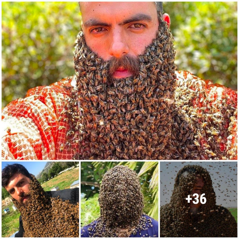 Bees Landed On The Mans Beard Like A Horror Movie When He Dared To Recklessly Raise These Bees